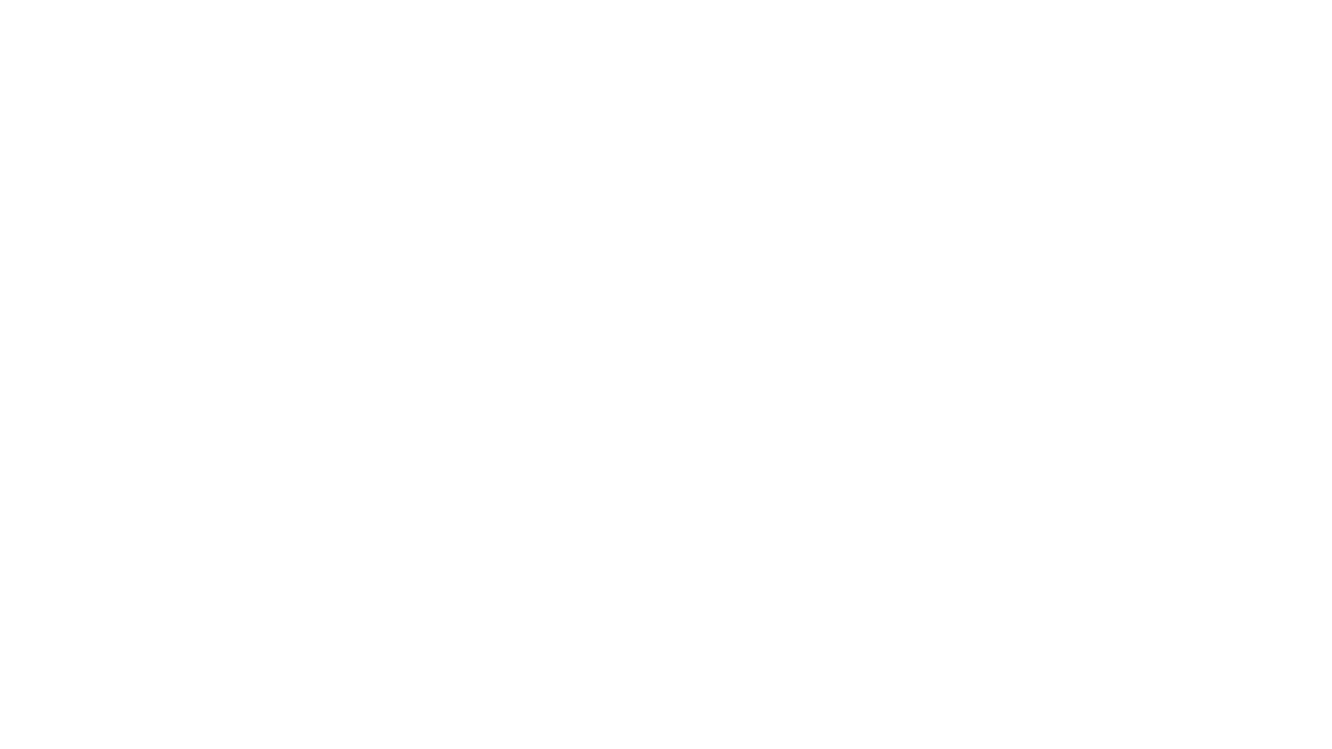 Díszpalack Logo
