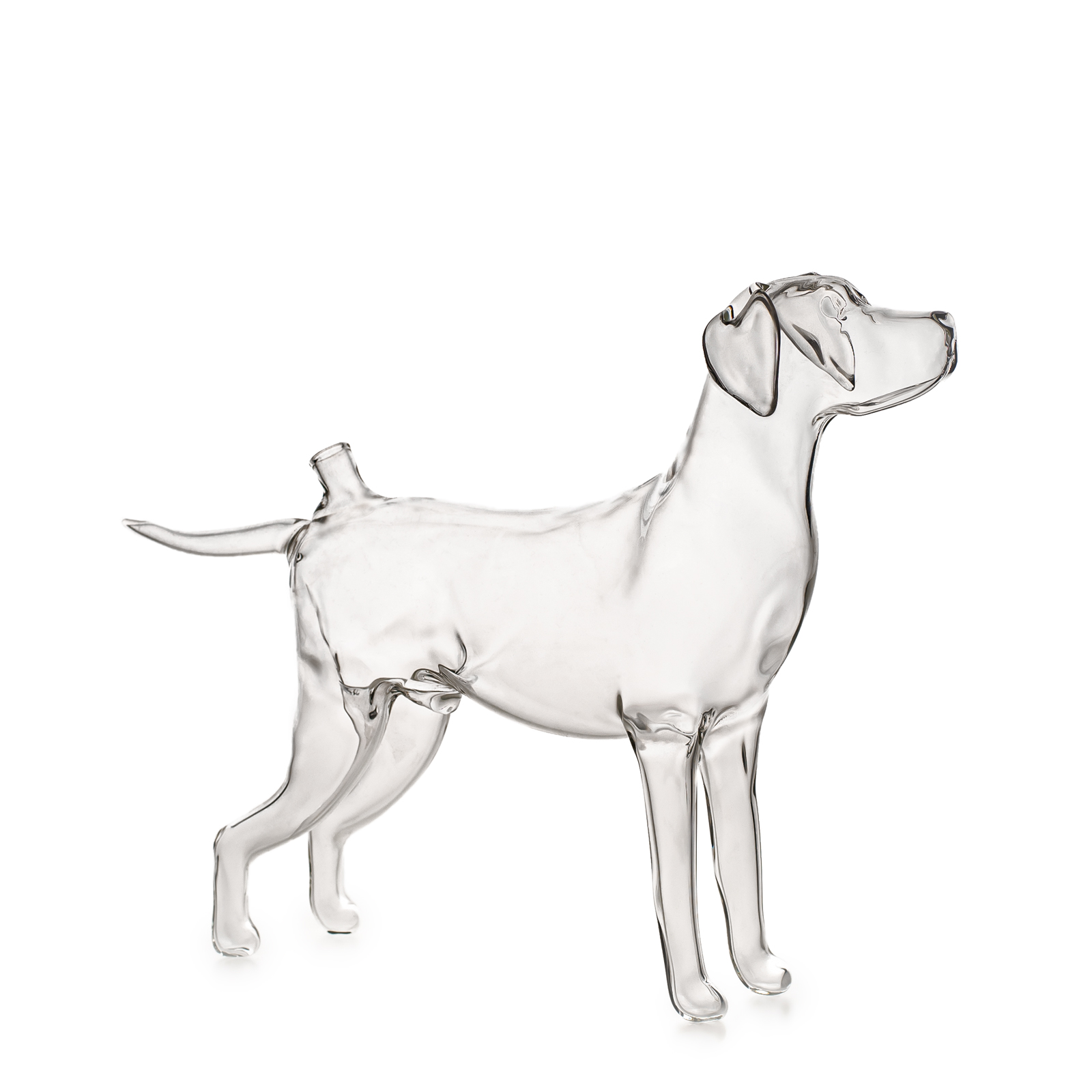 Díszpalack Rövidszőrű magyar vizsla feltölthető üveg
